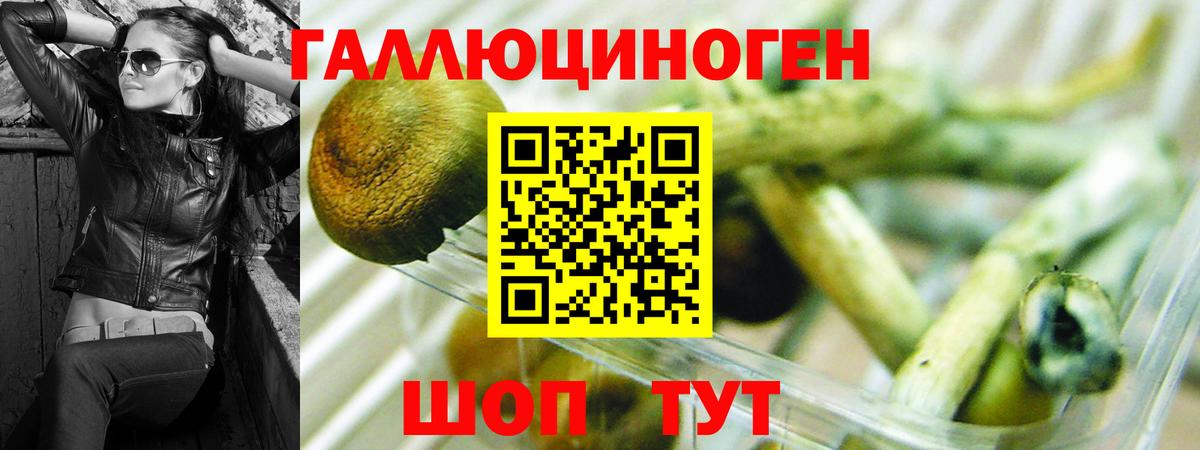 Галлюциногенные грибы мухоморы  Вход с VPN  Псилоцибиновые грибы мухоморы  Пушкино 